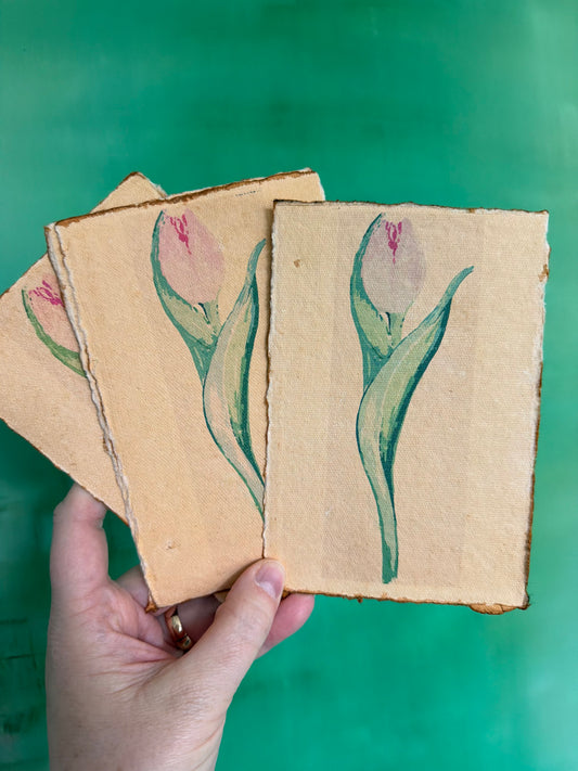 NEW Coastal Tulips Set of 4 Notecard Stationary