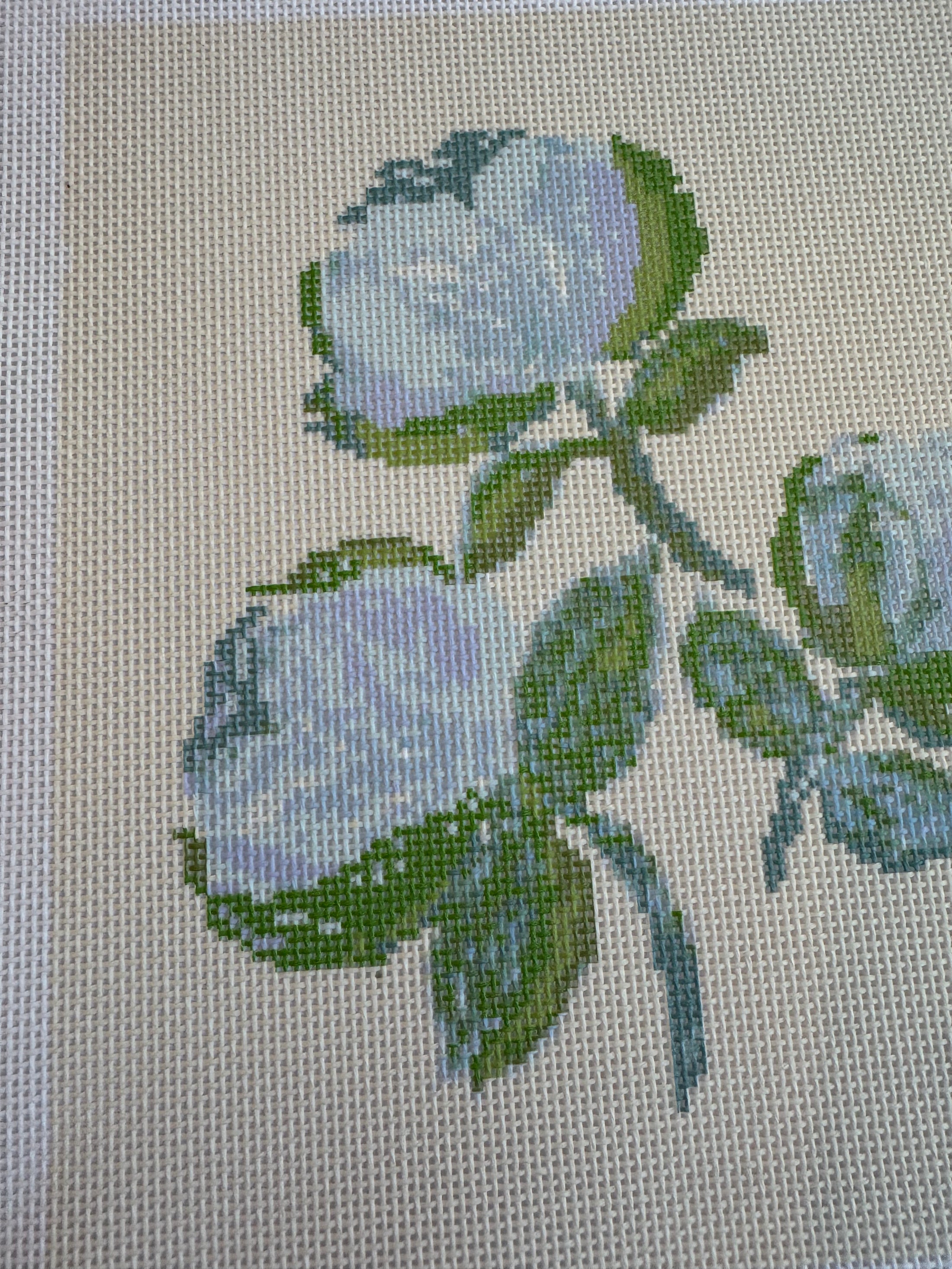 Needlepoint Canvas on 13 Bowood Roses  Zweigart Mono Deluxe Mesh Embroidery with finished Liberty of London fabric on the edges