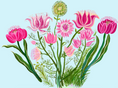 Load image into Gallery viewer, Tulip Garden
