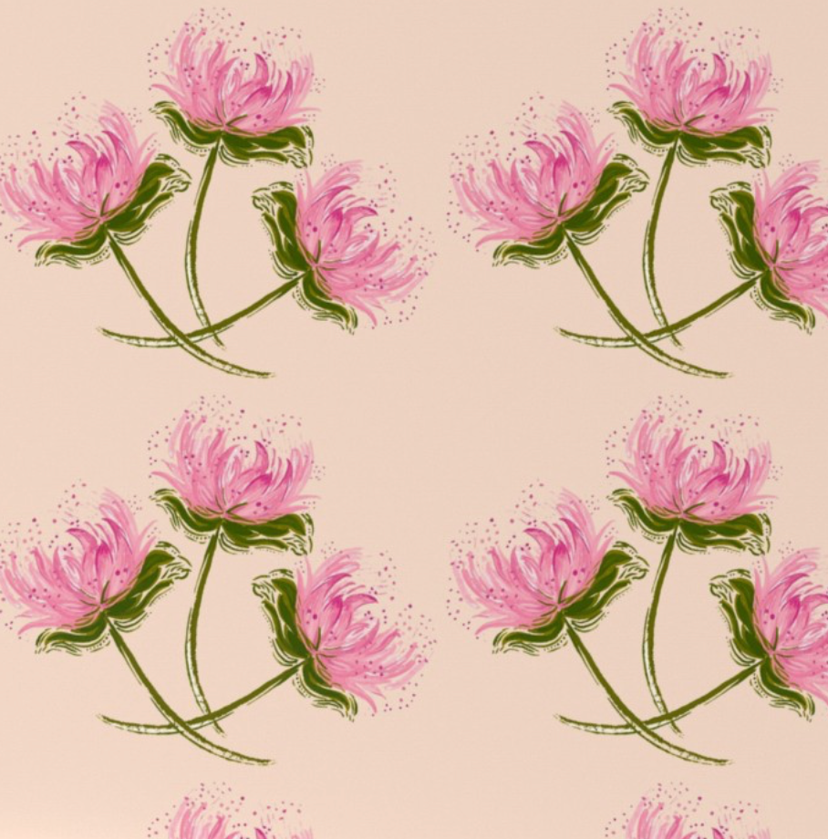 Pink Dahlia