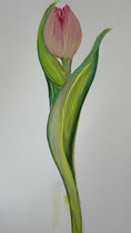 Load and play video in Gallery viewer, NEW Coastal Ava Beth Long Stem Tulip Needlepoint Canvas

