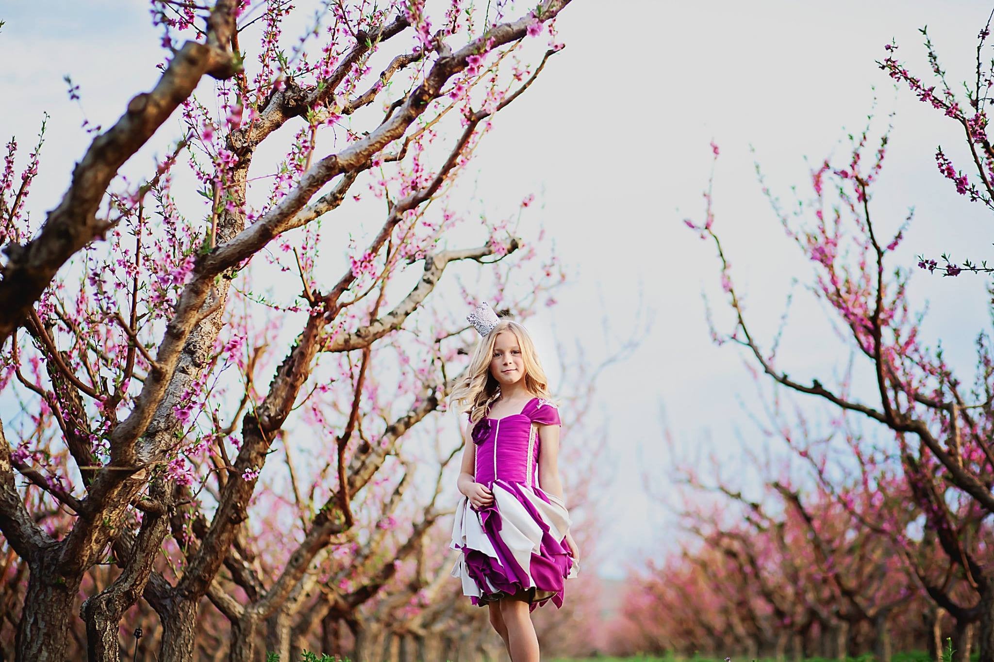 Isla Eve Dress